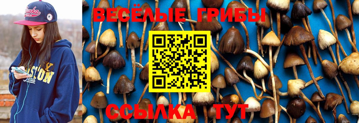 Псилоцибиновые грибы мухоморы  Вход с VPN  Нефтеюганск  Псилоцибиновые грибы прущие грибы 