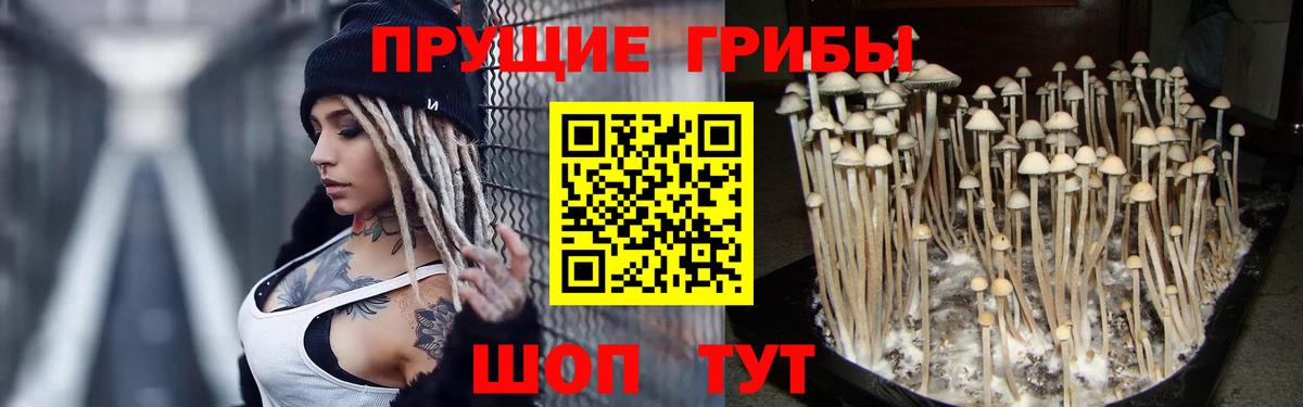 Галлюциногенные грибы Magic Shrooms Нефтеюганск