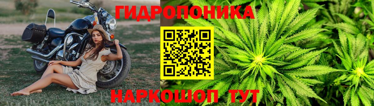 Бошки марихуана ГИДРОПОН Нефтеюганск